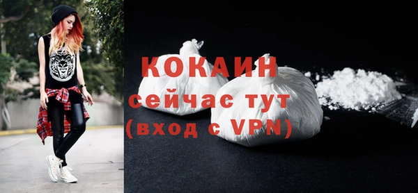 тгк Абаза