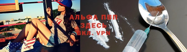 индика Абинск