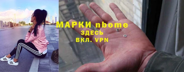 индика Абинск