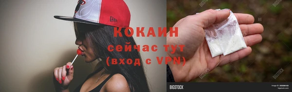 индика Абинск