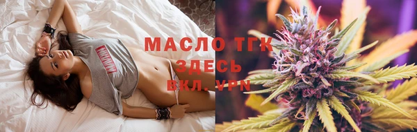 тгк Абаза